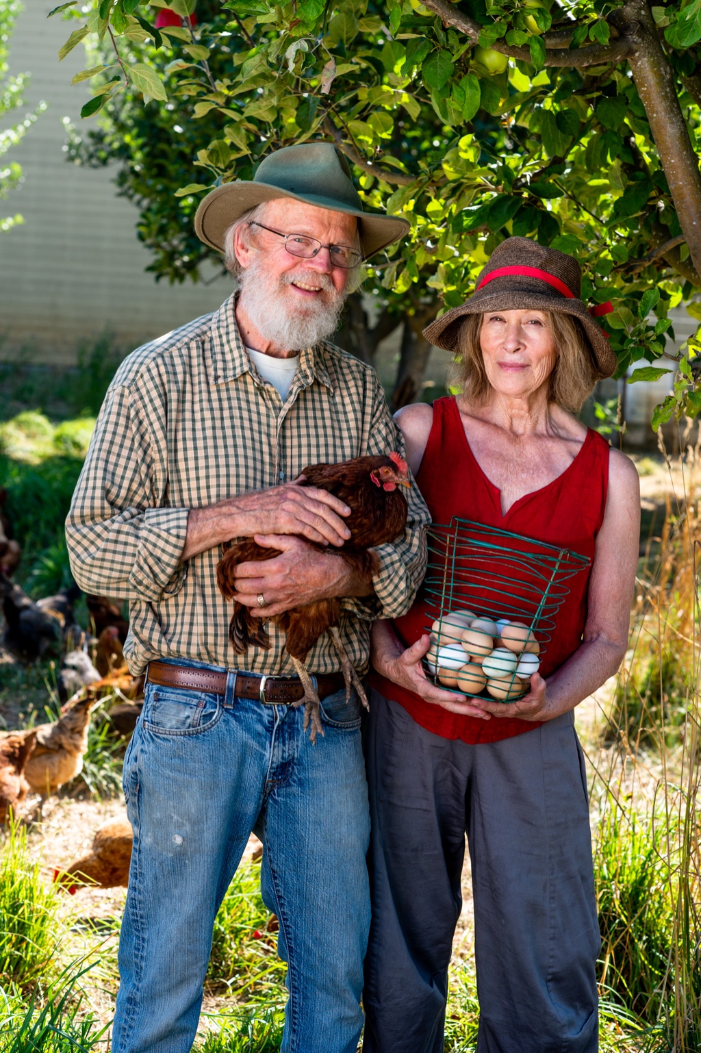 Dry Creek Valley farm couple under an apple tree, he holding a hen and she a wire basket of fresh eggs