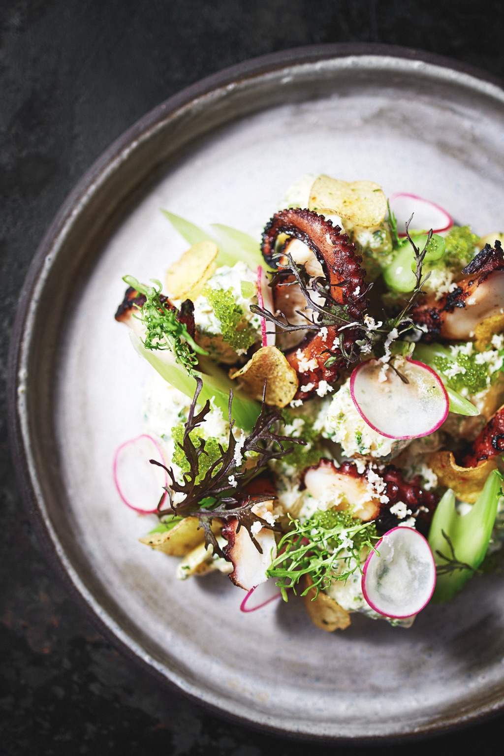 Grilled octopus with potato salad, green tobiko, radish and potato chips on stoneware