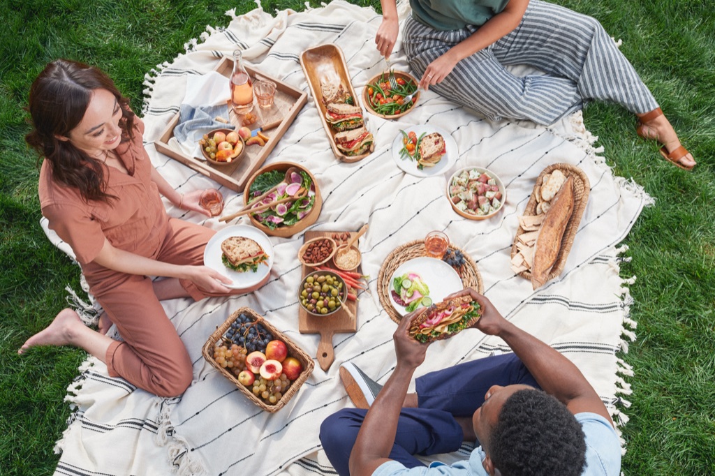 Overhead picnic on a striped blanket with plant based deli sandwiches and baskets of fruit