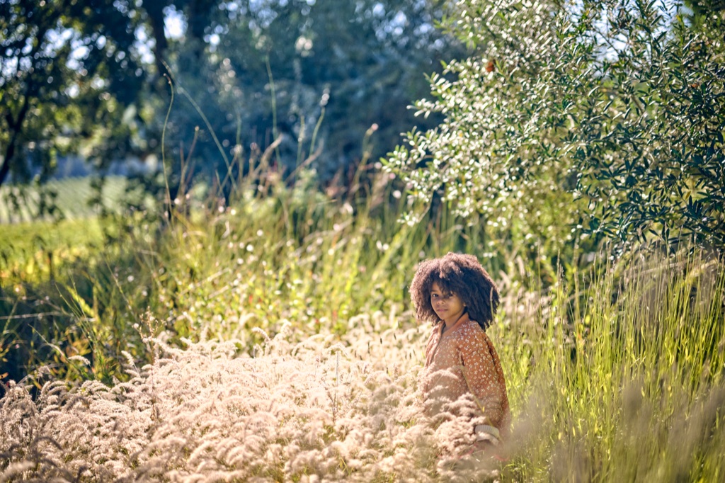 Girl with an afro standing in tall golden grasses beside olive trees near a vineyard