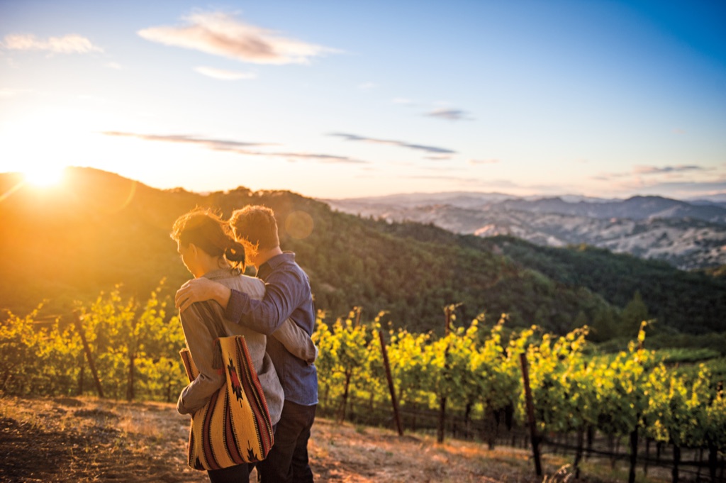 Couple arm in arm at a hillside vineyard at sunset overlooking Sonoma County