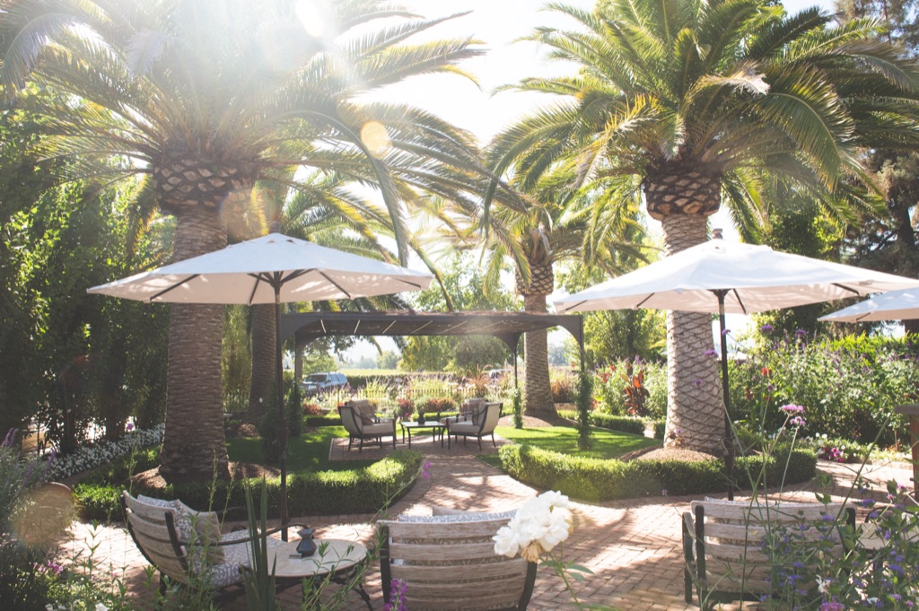 Palm-shaded winery garden with white umbrellas and brick paths opening to Napa Valley vineyard rows