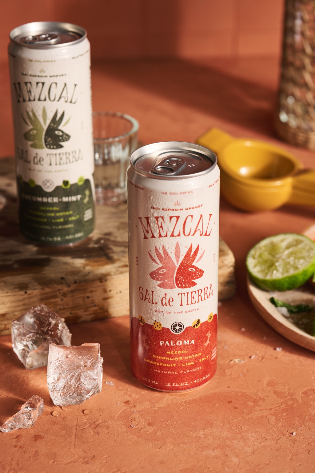 Sal de Tierra paloma and cucumber mint mezcal cans on terracotta