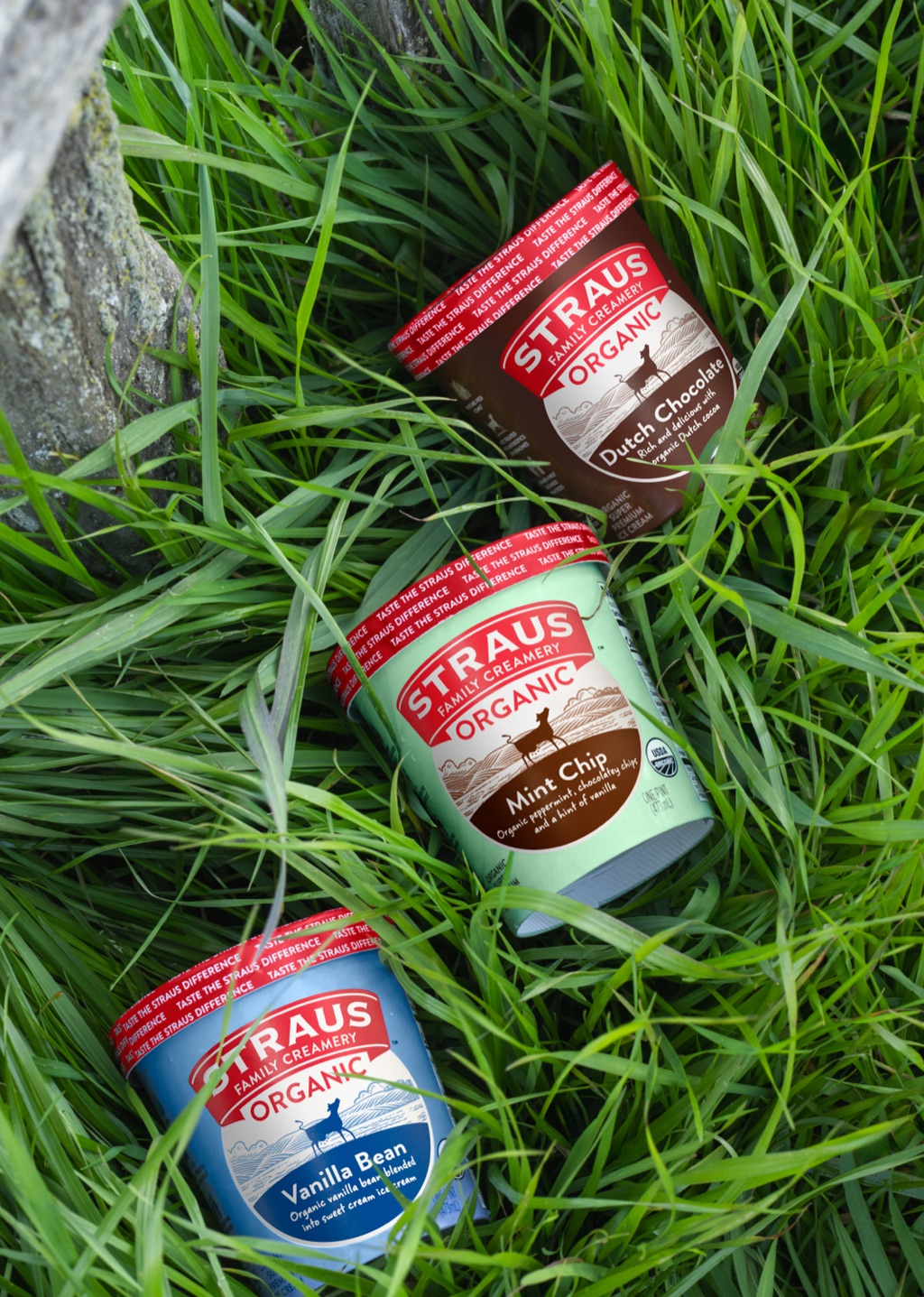 Straus Family Creamery ice cream pints chilling in the grass