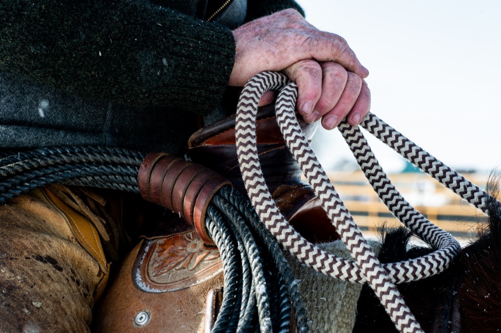 Rancher's weathered hands gripping a braided rope rein over a tooled saddle in the snow