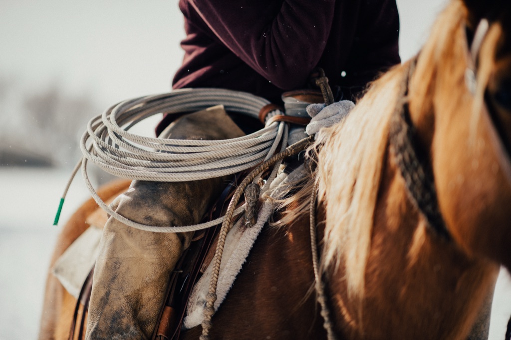 Coiled lasso and braided tack on the saddle of a rider in winter light