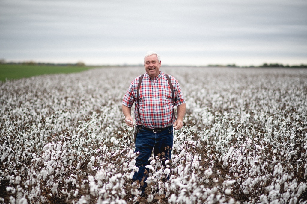 Cotton farmer in plaid and suspenders laughing in the middle of his cotton field