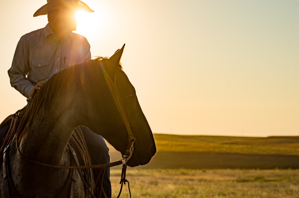 Cowboy on a roan horse backlit by the setting sun on open prairie