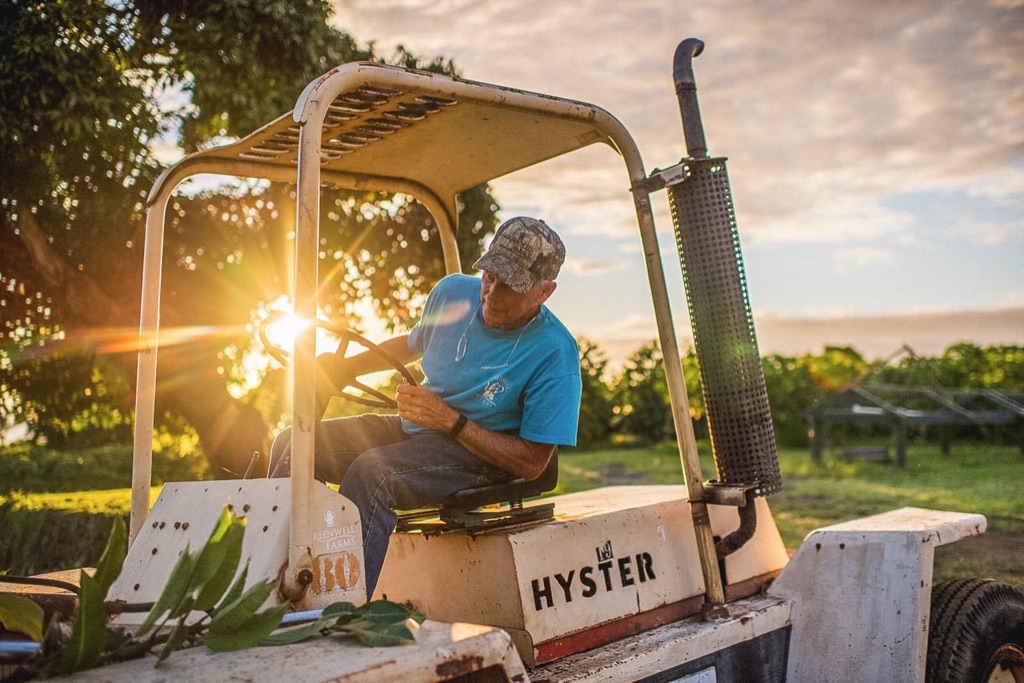 Kona coffee farmer driving a vintage forklift through the farm at sunset, photographed by Dawn Heumann