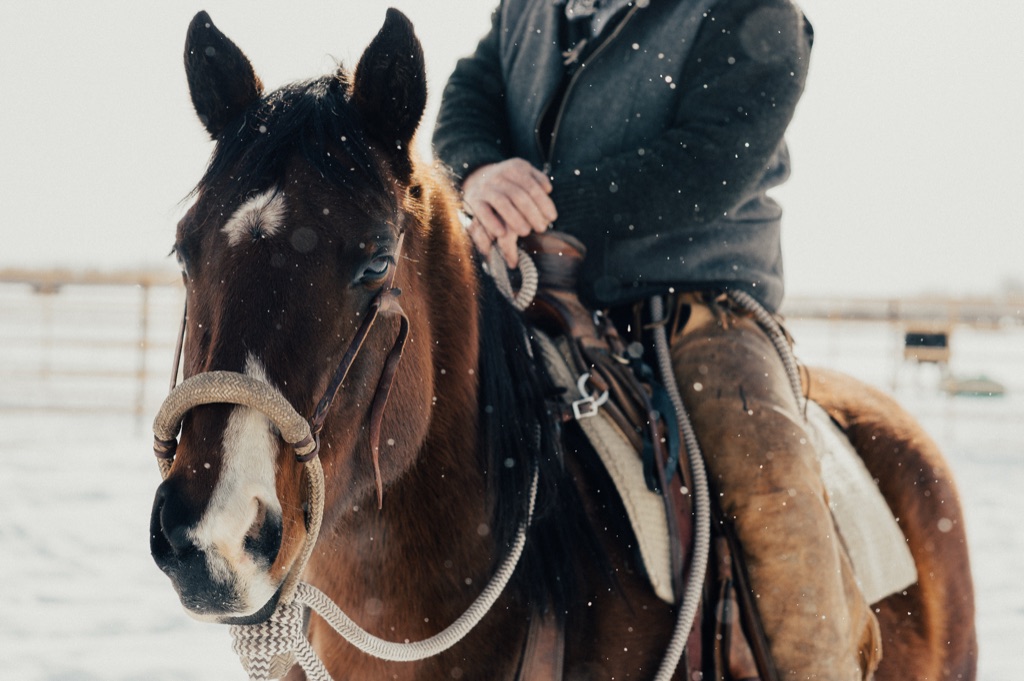 Bundled rider on a bay horse in falling snow, hand resting on the saddle horn