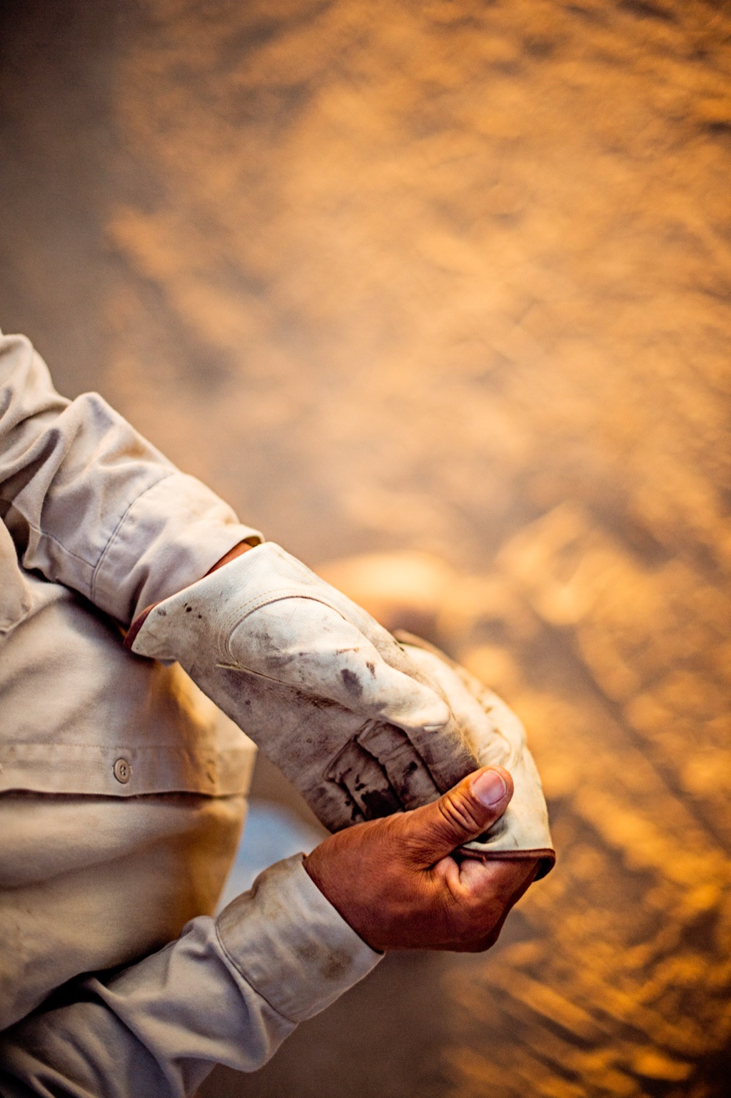 Closeup of a farmer pulling on a worn leather work glove against a golden field