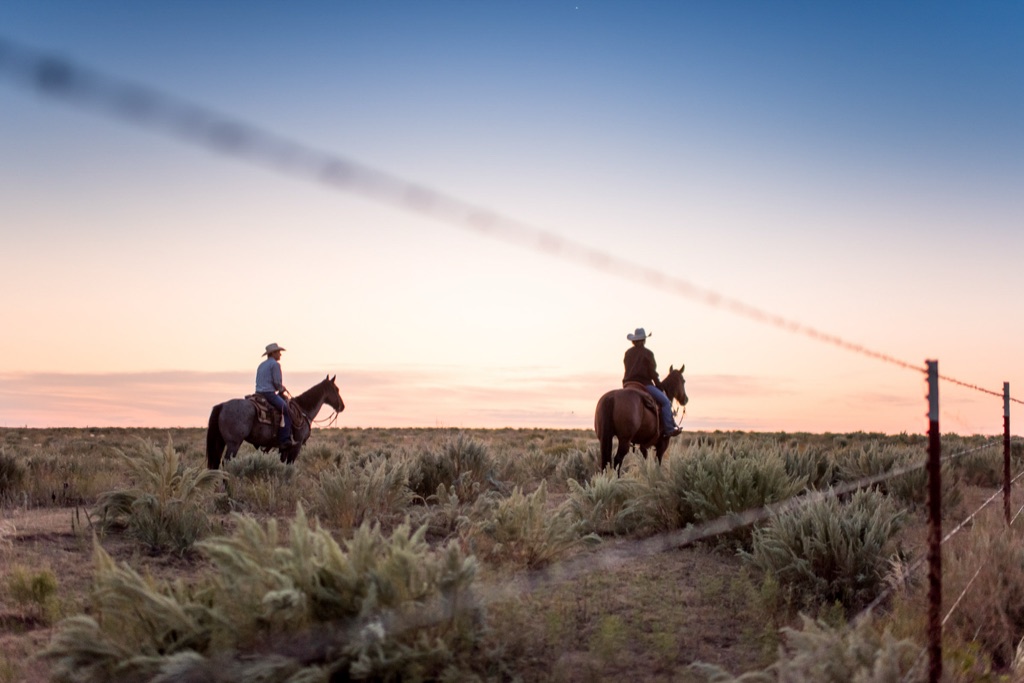 Two ranchers on horseback at dusk in sagebrush pasture, framed through a barbed wire fence