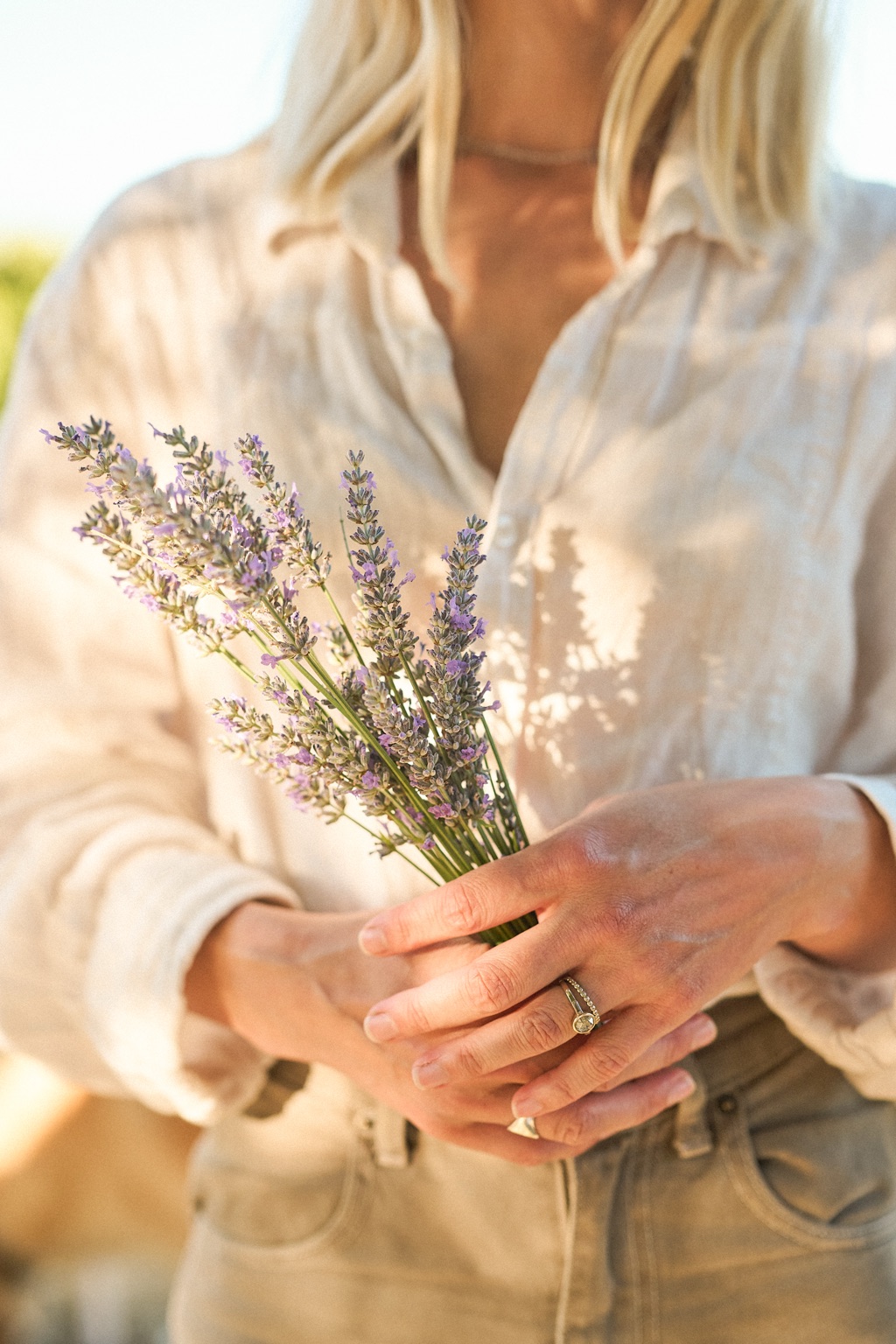 Close-up of a woman's hands holding a bundle of fresh-cut lavender in golden evening light