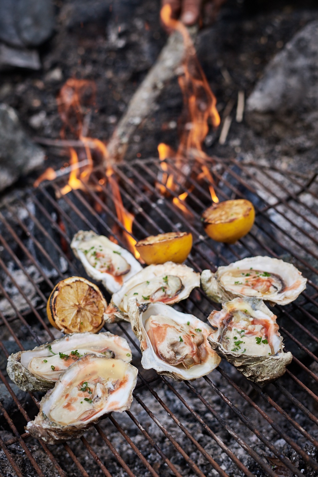 Oysters on the half shell grilling over open campfire flames with charred lemon halves, photographed in Alaska