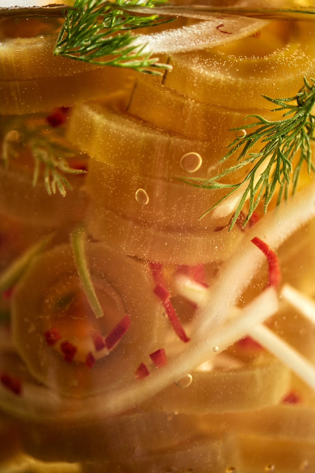 Macro of a jar of golden pickles layered with dill fronds and slivers of red chile