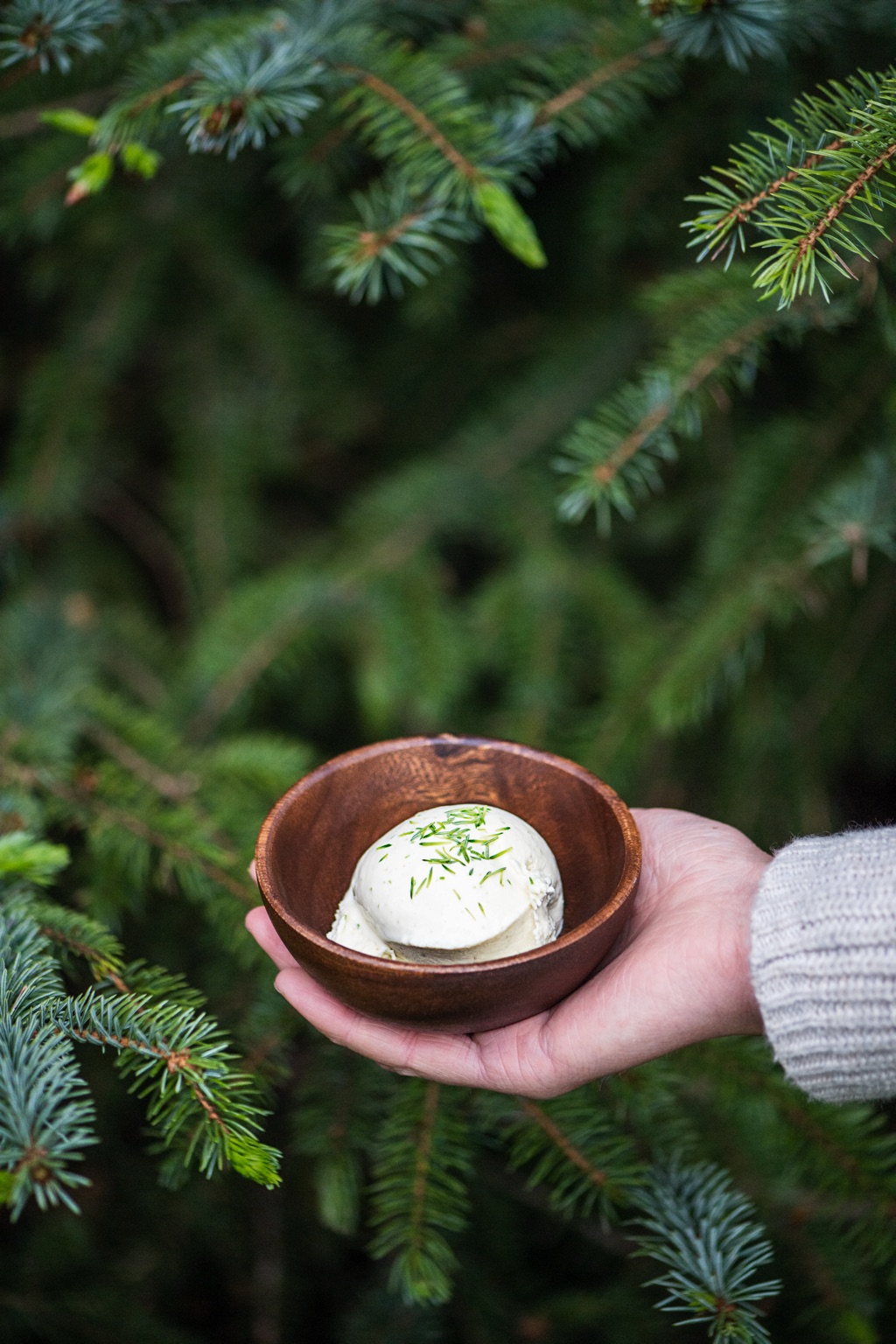 Hand holding a small wooden bowl of ice cream sprinkled with spruce tips in front of spruce boughs