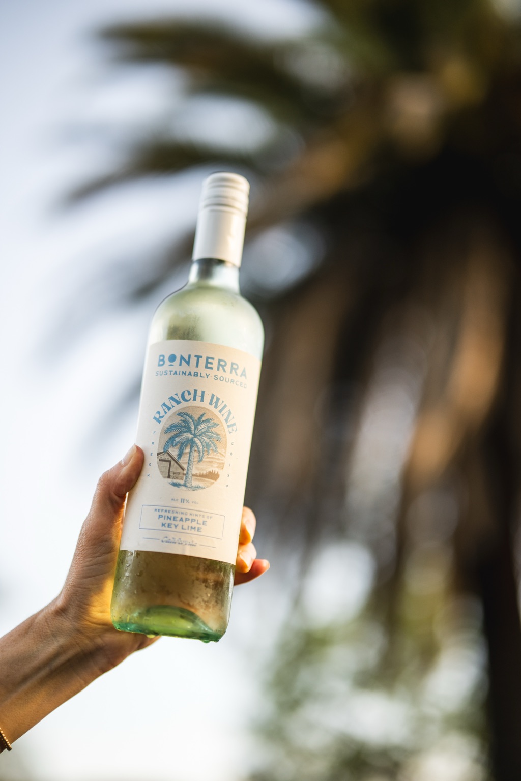 Hand holding a Ranch Wine Pineapple Key Lime bottle up against a palm tree and bright sky