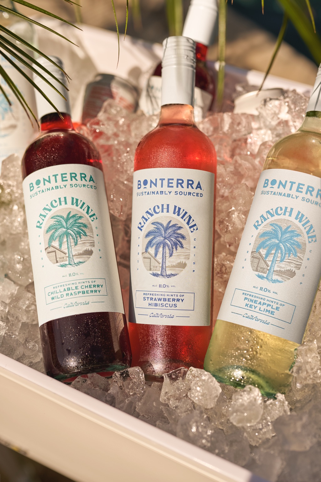 Three Bonterra Ranch Wine bottles chilling in an ice-filled cooler with a palm frond, photographed by Dawn Heumann