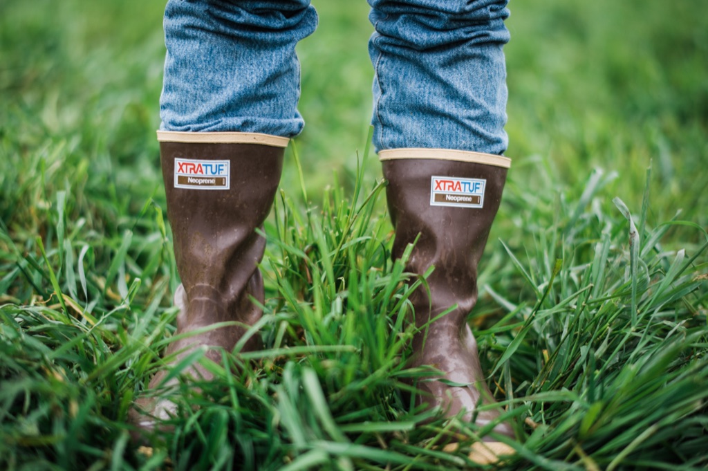Neoprene ranch boots standing in tall green pasture grass