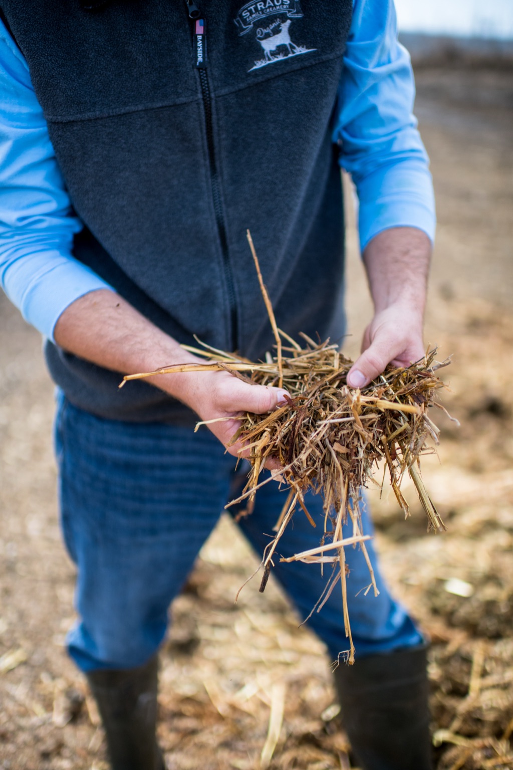 Farmer in a Straus fleece vest holding a handful of composted straw