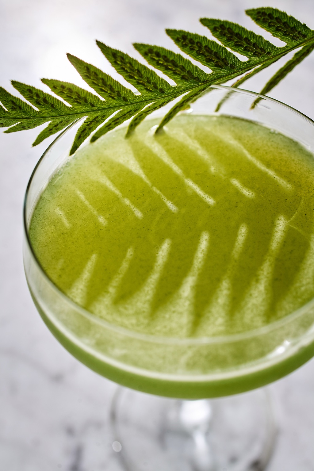 Fern shadows falling across a green cocktail