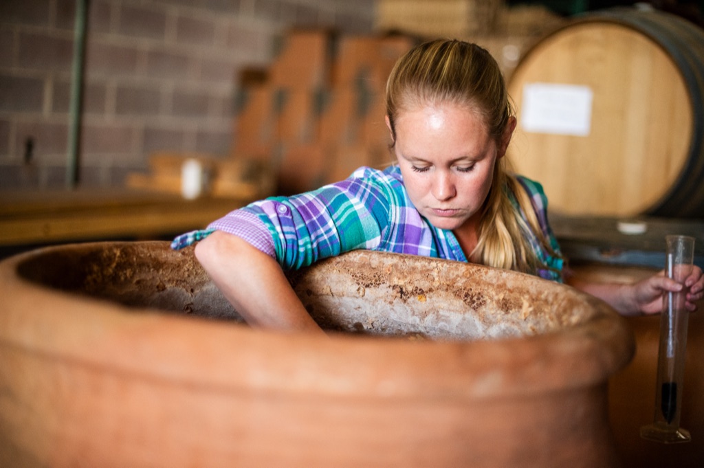 Winemaker reaching into a terracotta amphora in the cellar, graduated cylinder in hand