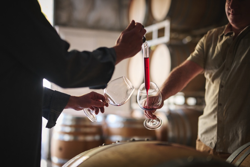 Wine thief pour from barrel to glass during a cellar barrel tasting