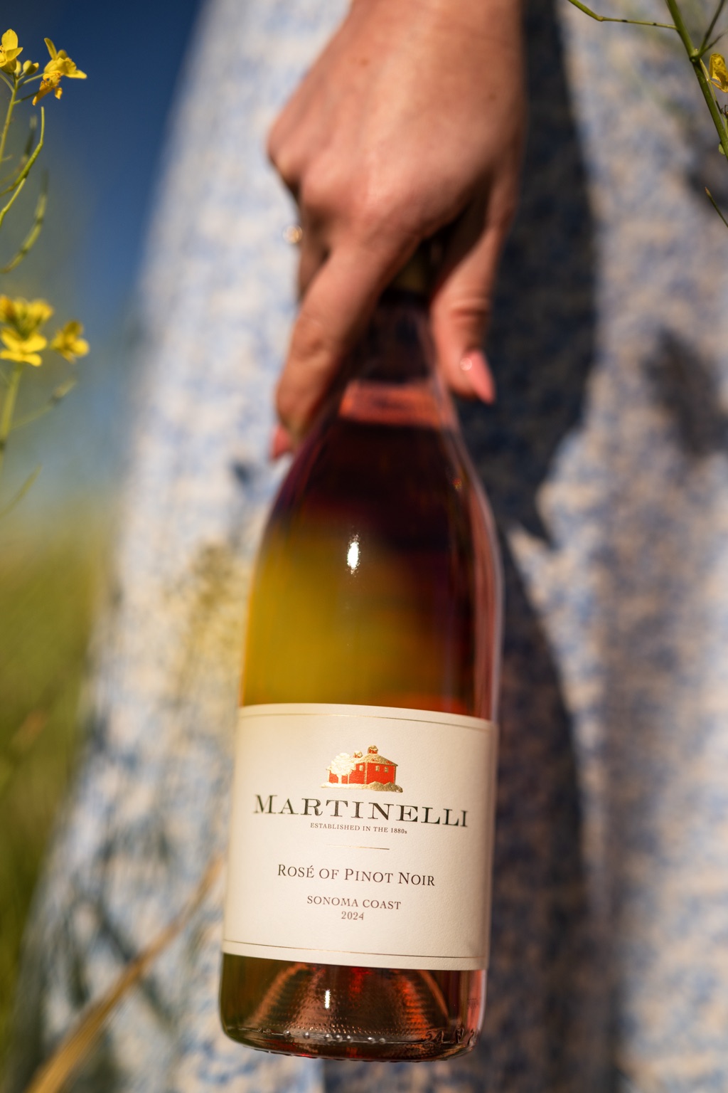 Martinelli rosé of pinot noir carried through a blooming mustard field