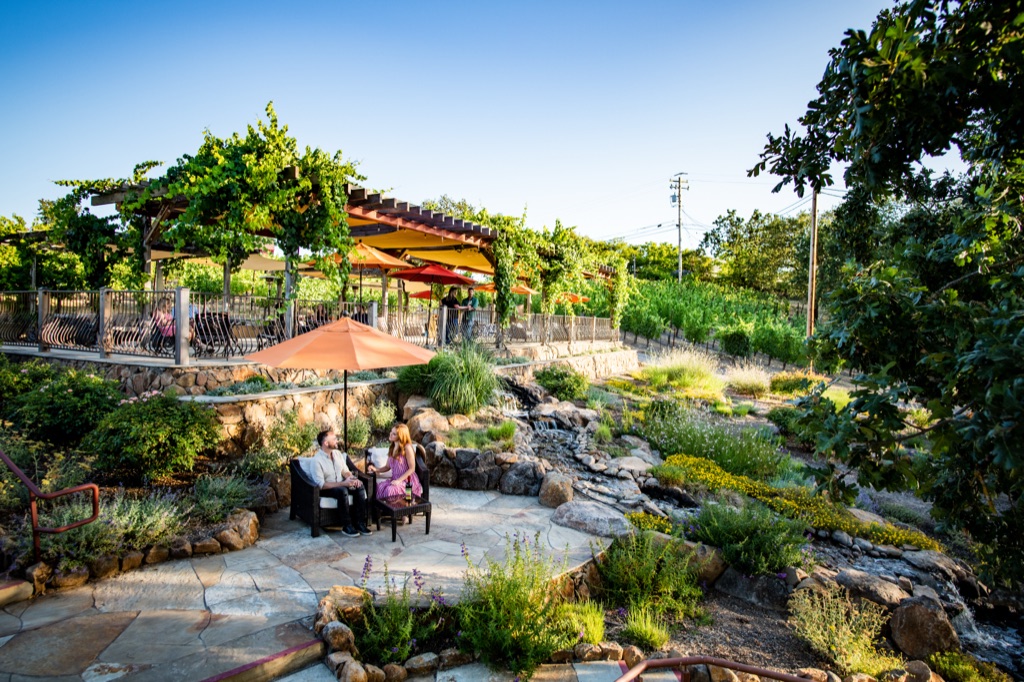 Vine-covered pergola terrace and rock garden creek at Martinelli Winery in the Russian River Valley, photographed by Dawn Heumann