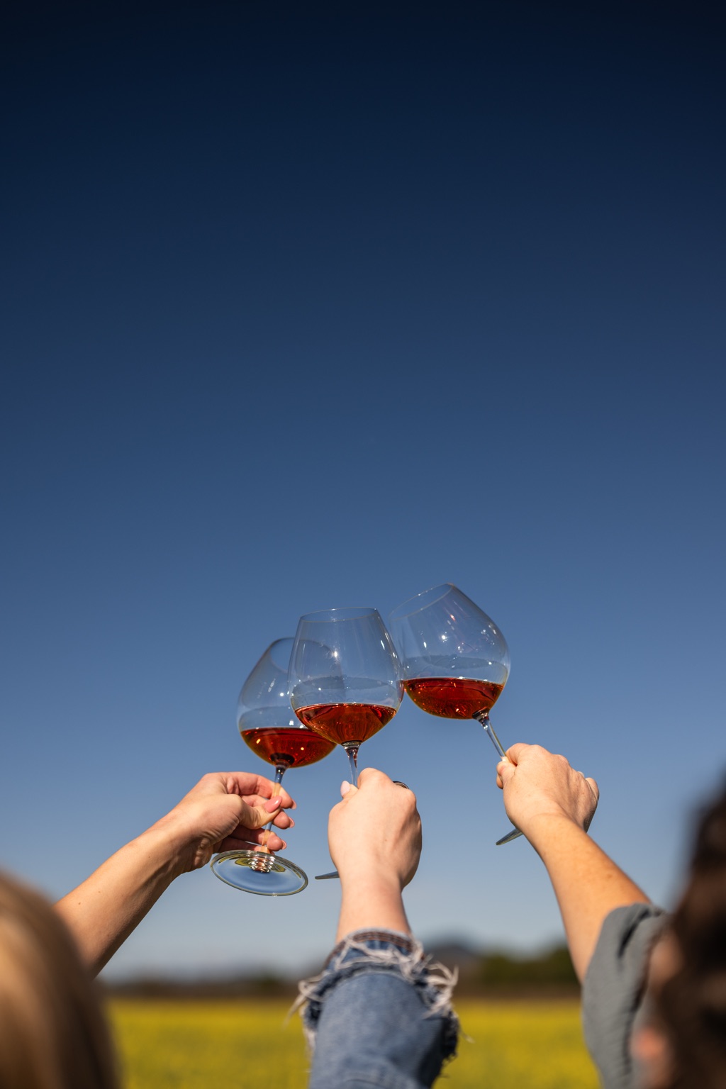 Three glasses of rosé raised against a deep blue sky over a mustard field