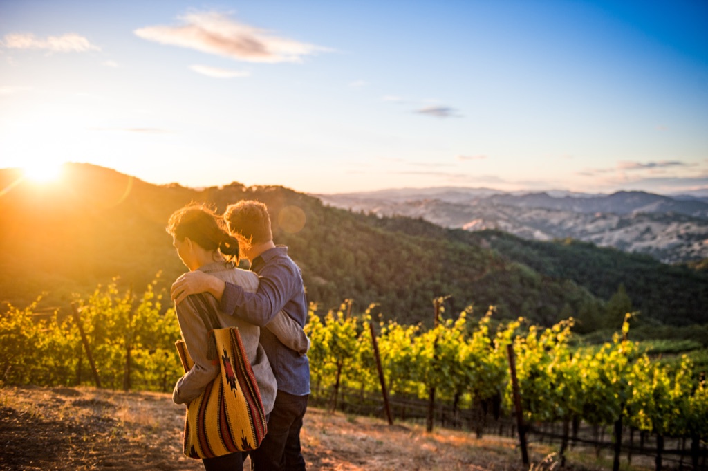 Couple arm in arm at sunset overlooking vineyard rows and layered hills