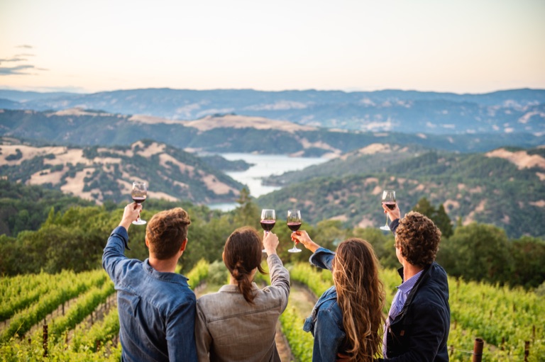 Friends raising glasses of red wine above a hilltop vineyard