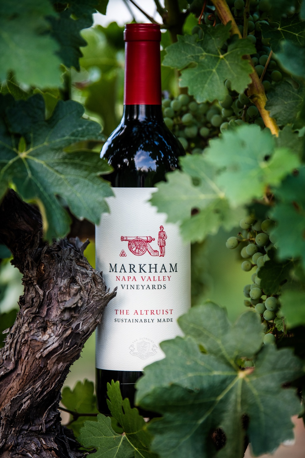 Bottle of Markham The Altruist tucked into the vine canopy among green grape clusters