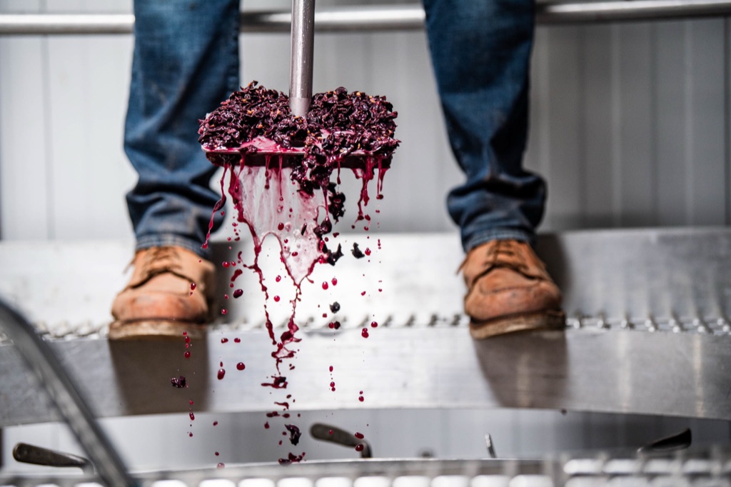 Punch down tool lifted dripping with crushed grapes over an open tank